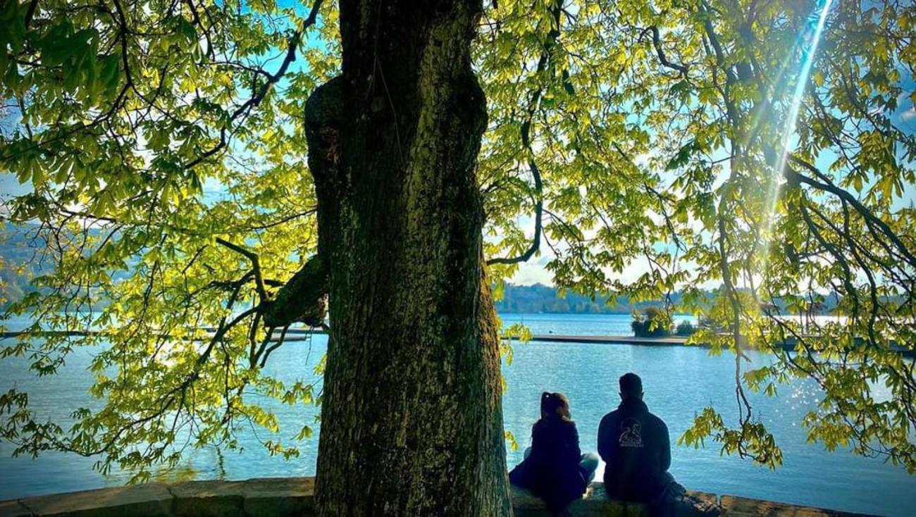 L'Echappee Du 36 - 4 Chambres Dans Le Triangle D'Or A 100M Du Lac, Parking Gratuit Annecy Exterior foto